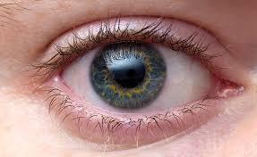 أفضل دكتور زراعة قرنية بالمحلة